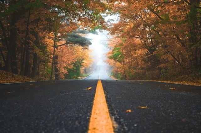 Benefits ROI versus Value: A Continuous Journey