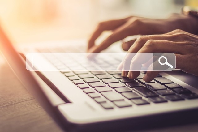Person online searching using laptop