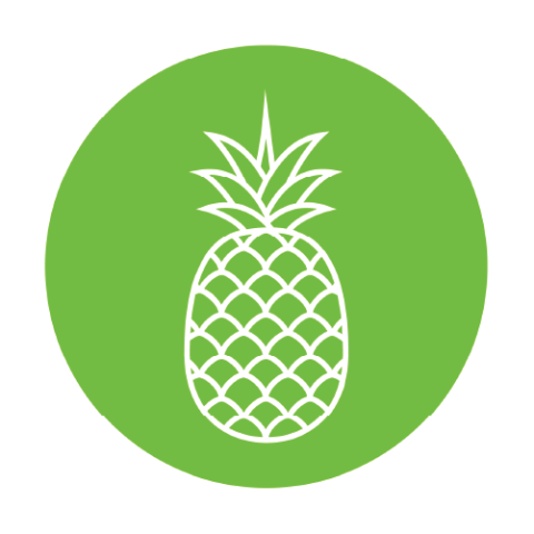 DEI-logo-pacific-islanders